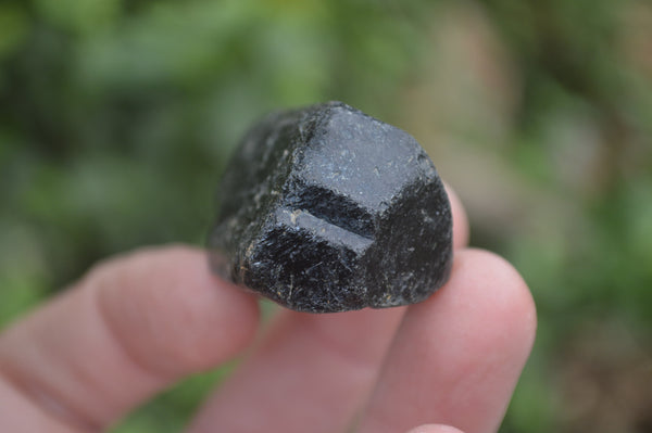 Natural Alluvial Schorl Black Tourmaline Crystals x 35 From Zimbabwe