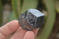 Natural Alluvial Schorl Black Tourmaline Crystals x 35 From Zimbabwe