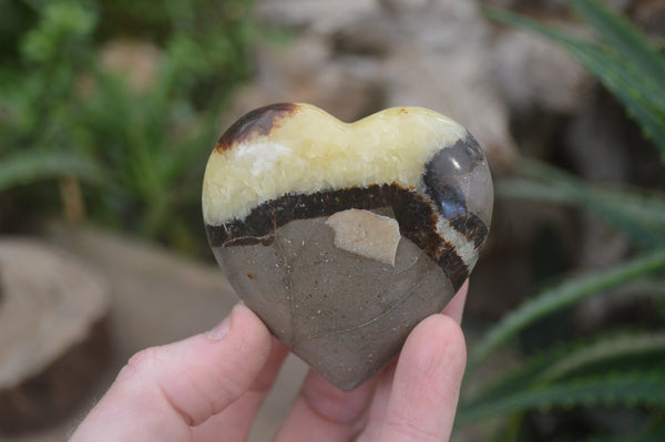 Polished Septerye Hearts x 8 From Mahajanga, Madagascar