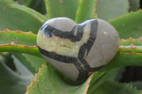 Polished Septerye Hearts x 8 From Mahajanga, Madagascar