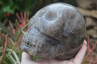 Polished Smokey Quartz Skull Carving x 1 From Madagascar