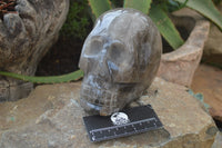 Polished Smokey Quartz Skull Carving x 1 From Madagascar