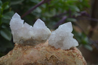 Natural Amethyst Spirit Quartz Clusters x 20 From Boekenhouthoek, South Africa