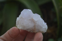 Natural Amethyst Spirit Quartz Clusters x 20 From Boekenhouthoek, South Africa