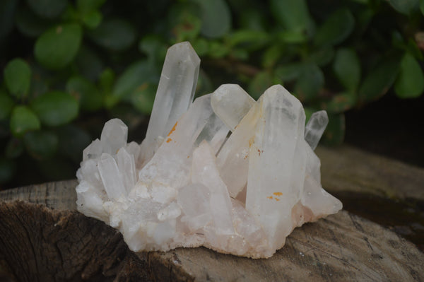 Natural Clear Quartz Crystal Clusters x 12 From Madagascar