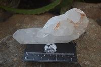 Natural Clear Quartz Crystal Clusters x 12 From Madagascar