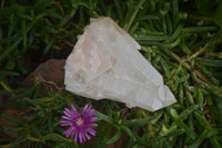 Natural Clear Quartz Crystal Clusters x 12 From Madagascar