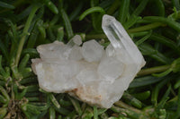 Natural Clear Quartz Crystal Clusters x 12 From Madagascar