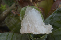 Natural Clear Quartz Crystal Clusters x 12 From Madagascar