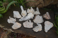 Natural Clear Quartz Crystal Clusters x 12 From Madagascar