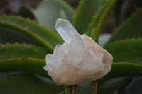 Natural Clear Quartz Crystal Clusters x 12 From Madagascar