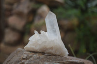 Natural Clear Quartz Crystal Clusters x 12 From Madagascar