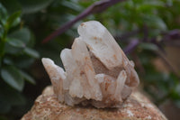 Natural Clear Quartz Crystal Clusters x 12 From Madagascar