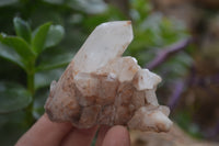 Natural Clear Quartz Crystal Clusters x 12 From Madagascar