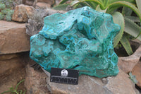 Polished Malacolla Free Form x 1 From Kulukuluku, Congo