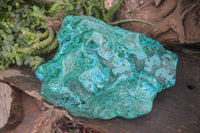 Polished Malacolla Free Form x 1 From Kulukuluku, Congo