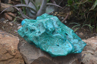 Polished Malacolla Free Form x 1 From Kulukuluku, Congo