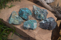 Natural Shattuckite with Chrysocolla, Malachite, Bornite and Chalcocite x 5 from Kaokoveld Namibia