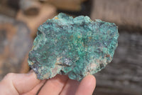 Natural Shattuckite with Chrysocolla, Malachite, Bornite and Chalcocite x 5 from Kaokoveld Namibia