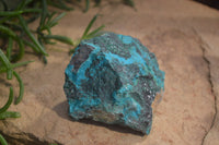 Natural Shattuckite with Chrysocolla, Malachite, Bornite and Chalcocite x 5 from Kaokoveld Namibia