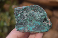 Natural Shattuckite with Chrysocolla, Malachite, Bornite and Chalcocite x 5 from Kaokoveld Namibia