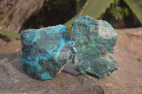 Natural Shattuckite with Chrysocolla, Malachite, Bornite and Chalcocite x 5 from Kaokoveld Namibia