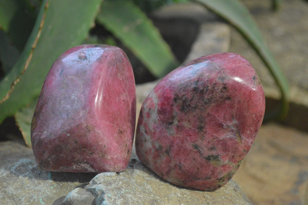 Polished Rhodonite Free Forms x 6 From Zimbabwe