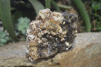 Natural Smokey Morion Crystal with Aegirine and Cluster with Orthoclase x 2 From Zomba, Malawi