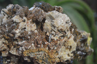 Natural Smokey Morion Crystal with Aegirine and Cluster with Orthoclase x 2 From Zomba, Malawi