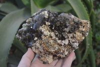 Natural Smokey Morion Crystal with Aegirine and Cluster with Orthoclase x 2 From Zomba, Malawi