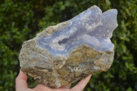 Natural Blue Lace Agate Specimens x 1 From Nsanje, Malawi