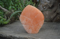 Polished Orange Twist Calcite Leaf Sculpture x 1 From Maevantanana, Madagascar