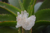 Natural Small Quartz Clusters x 35 From Madagascar