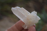 Natural Small Quartz Clusters x 35 From Madagascar