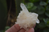 Natural Small Quartz Clusters x 35 From Madagascar