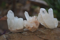 Natural Small Quartz Clusters x 35 From Madagascar