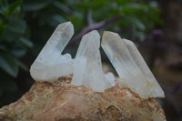 Natural Small Quartz Clusters x 35 From Madagascar