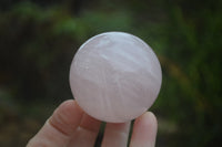 Polished Rose Quartz Sphere-Balls x 4 From Madagascar