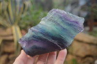 Polished On One Side Watermelon Fluorite Specimens x 6 From Uis, Namibia