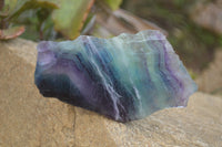 Polished On One Side Watermelon Fluorite Specimens x 6 From Uis, Namibia