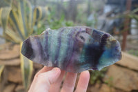 Polished On One Side Watermelon Fluorite Specimens x 6 From Uis, Namibia