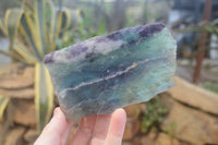 Polished On One Side Watermelon Fluorite Specimens x 6 From Uis, Namibia