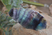 Polished On One Side Watermelon Fluorite Specimens x 6 From Uis, Namibia