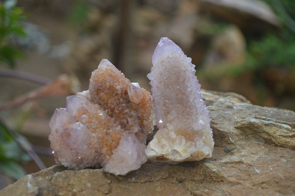 Natural Ametrine Spirit Quartz Clusters x 12 From Boekenhouthoek, South Africa