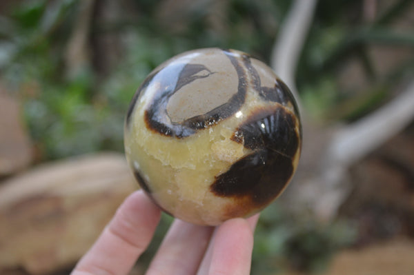 Polished Septerye Spheres x 6 From Mahajanga, Madagascar