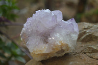 Natural Amethyst Cactus Flower Spirit Quartz Clusters x 3 From South Africa