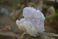 Natural Amethyst Cactus Flower Spirit Quartz Clusters x 3 From South Africa