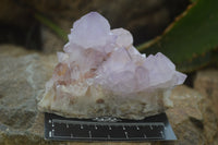 Natural Amethyst Cactus Flower Spirit Quartz Clusters x 3 From South Africa