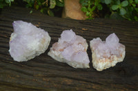 Natural Amethyst Cactus Flower Spirit Quartz Clusters x 3 From South Africa