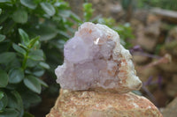 Natural Amethyst Cactus Flower Spirit Quartz Clusters x 3 From South Africa